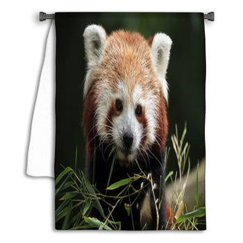 Red Panda (Ailurus Fulgens). Towel
