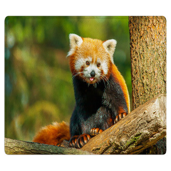 Red Panda Bath Mat