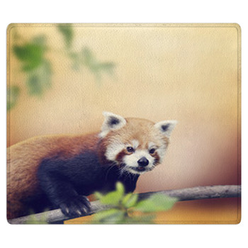 Red Panda Bath Mat
