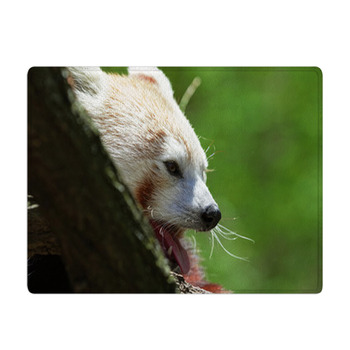 Red Panda. Bath Mat
