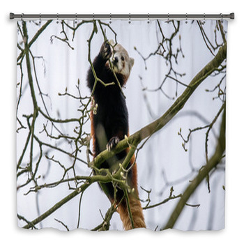 Red Panda Climbing In A Tree Custom Size Shower Curtain