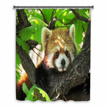 Red Panda Custom Size Shower Curtain