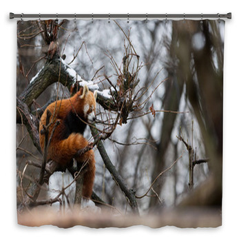 Red Panda In Snow Custom Size Shower Curtain