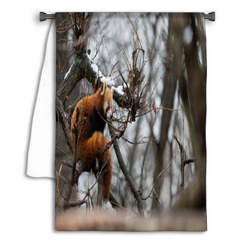 Red Panda In Snow Towel