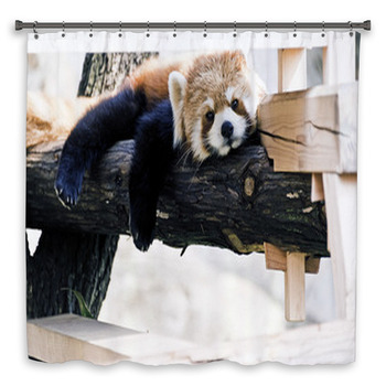 Red Panda relax posture Custom Size Shower Curtain