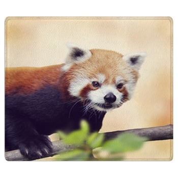Red Panda Rugs