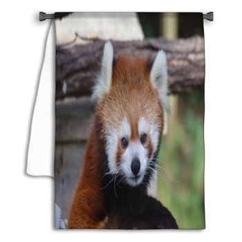 Red Panda Towel