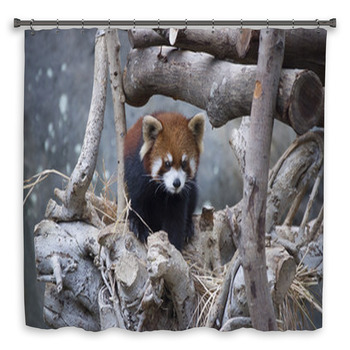 Red Panda Walking On The Tree Shower Curtain