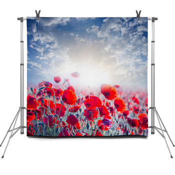 Red Poppy Field In A Rays Of Sun Fleece Backdrop
