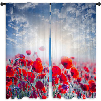Red Poppy Field In A Rays Standard Size Window Curtains