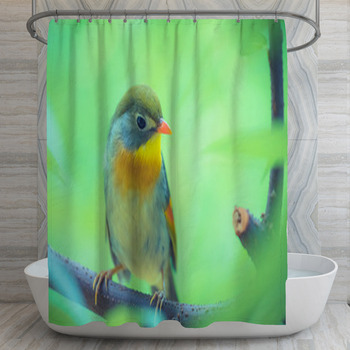 Red Robin In Beautiful Light On A Branch Shower Curtain
