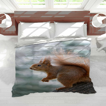 Squirrel bedding best sale