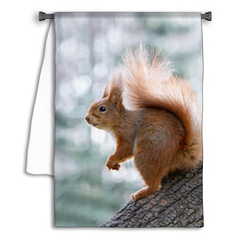 Red Squirrel On Tree Towel