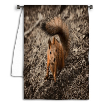 Red Squirrel Seating On The Earth. Towel