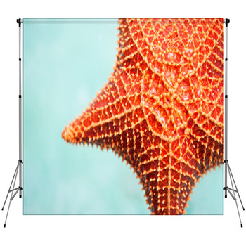Red Starfish Fleece Backdrop