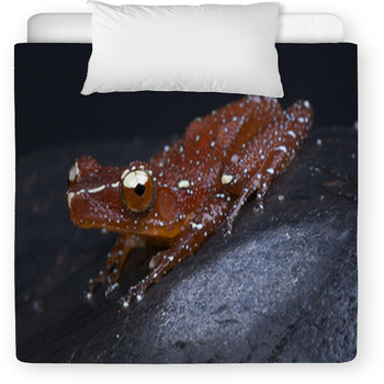 Red Tree Frog / Nyctixalus Pictus Toddler Comforter