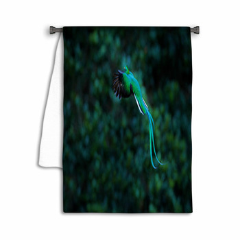 Resplendent Quetzal Flying Pharomachrus Mocinno Towel