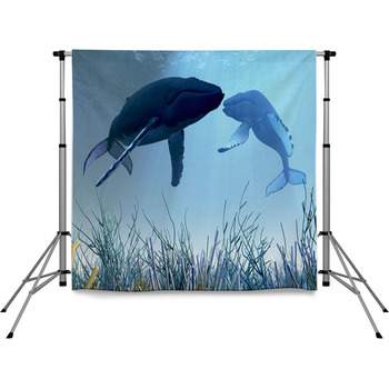 Resting Whales Pole Pocket Backdrop
