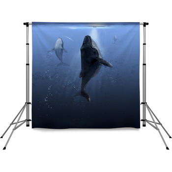Revenge Of The Whale Pole Pocket Backdrop