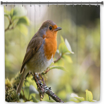 Robin Erithacus Rubecula Custom Size Shower Curtain