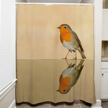 Robin Shower Curtain
