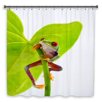 Rotaugenlaubfrosch Custom Size Shower Curtain