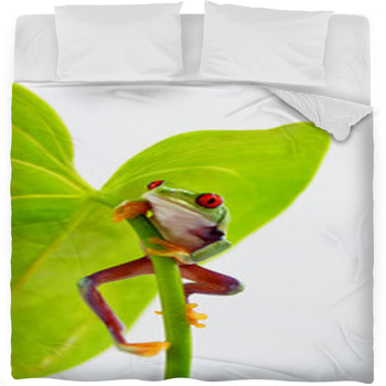 Rotaugenlaubfrosch Fleece Bed Blanket