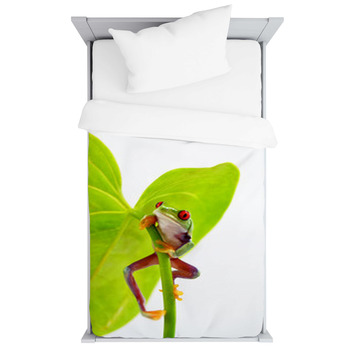 Rotaugenlaubfrosch Toddler Duvet