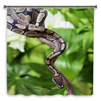 Royal Python On A Branch Shower Curtain