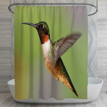 Ruby throated Hummingbird archilochus Shower Curtain