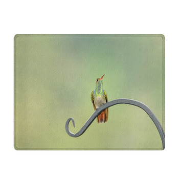 Rufous Tail Hummingbird On A Long Leaf Bath Mat
