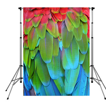 Scarlet Macaw Feathers Pole Pocket Backdrop