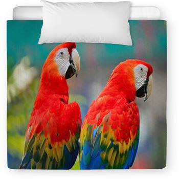 Scarlet Macaw Toddler Duvet