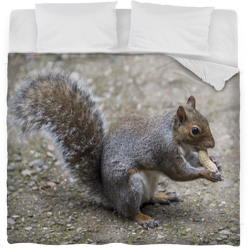 Scoiattoli Fleece Bed Blanket