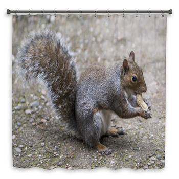 Scoiattoli Shower Curtain