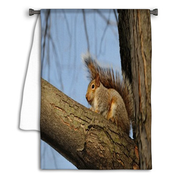 Scoiattolo In Inverno Parco Angrignon Di Montreal Towel
