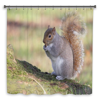 Scoiattolo Shower Curtain