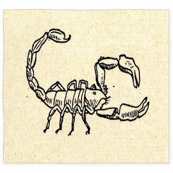 Scorpion Custom Size Floor Mat