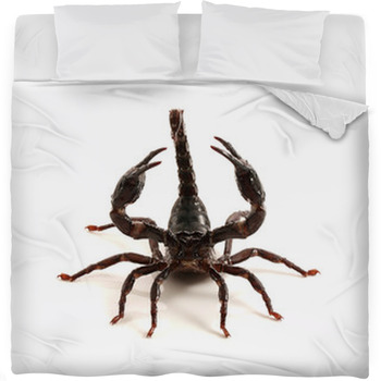 Scorpion Fleece Bed Blanket