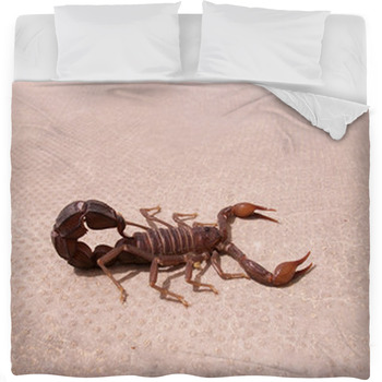 Scorpion Fleece Bed Blanket