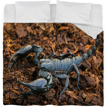 Scorpions In The Forest, Can Harm Fleece Bed Blanket