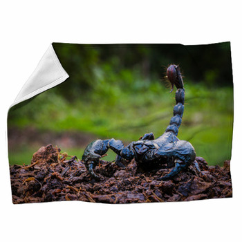 Scorpions In The Forest, Can Harm Humans. Fleece Blanket