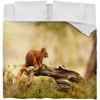 Scottish Red Squirrel Fleece Bed Blanket