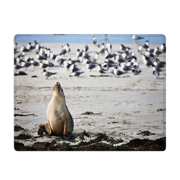 Sea Lion Resting On A Beach Bath Mat