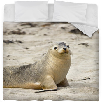 Sea Lion Resting On A Beach Fleece Bed Blanket