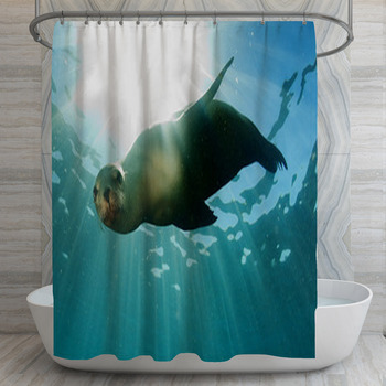 Sea Lion Underwater Looking At You Shower Curtain
