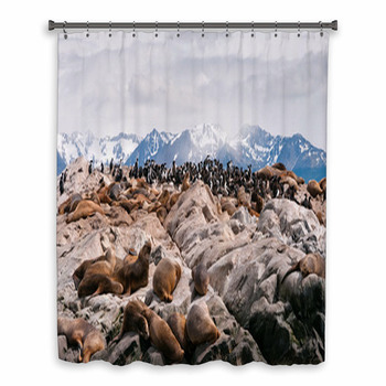 Sea Lions And Cormorants In Custom Size Shower Curtain