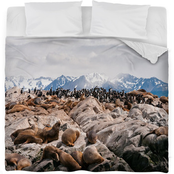 Sea Lions And Cormorants In Beagle Fleece Bed Blanket