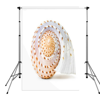 Sea Shell Pole Pocket Backdrop