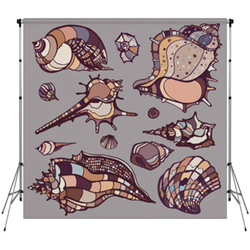 Sea Shells Set. Fleece Backdrop
